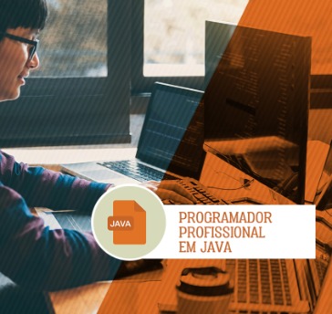 Programador Profissional em Java